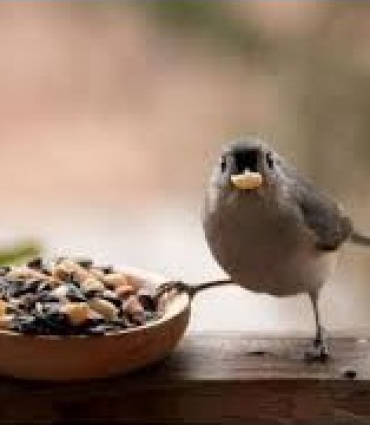 imagen produco de prueba 3